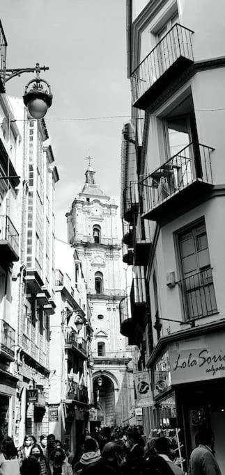 Gran piso en zona comercial Malaga - Apartamento - 7