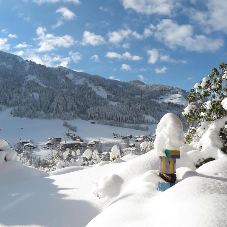 Panoramachalet Tirolernaturschlaf - Chalet - 56