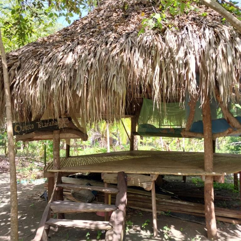 Eco-Camping Mango Feliz Rincón del Mar - Cama individual en habitación compartida - 24