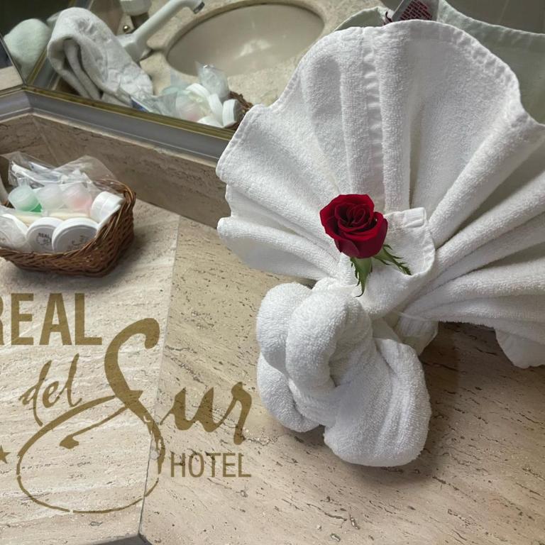 Hotel Real del Sur - Deluxe Suite with Spa Bath - 4