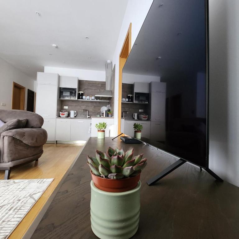 Budvariana Apartments - Deluxe Apartment - 23