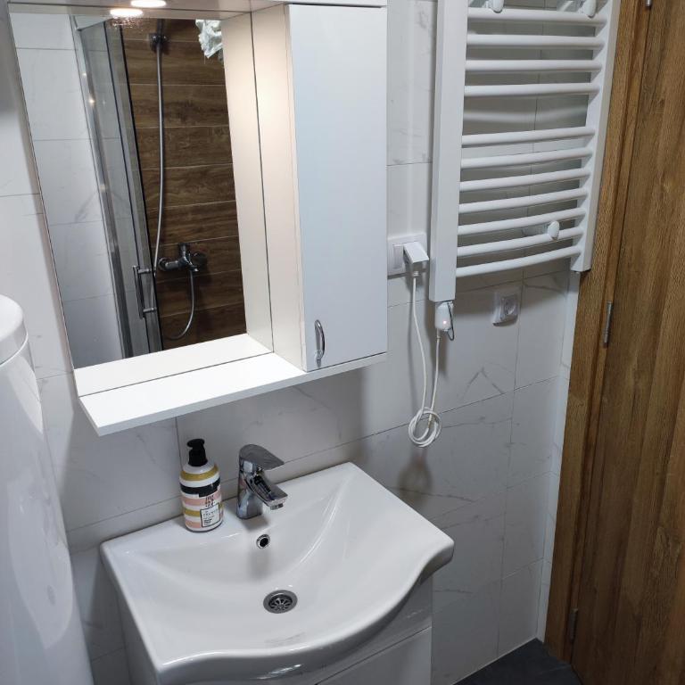 Apartman Malina - Apartman sa 1 Spavaćom Sobom - 16