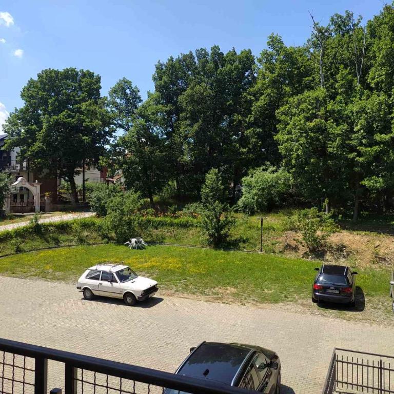 ROSA - Apartman sa Pogledom na Vrt - 12