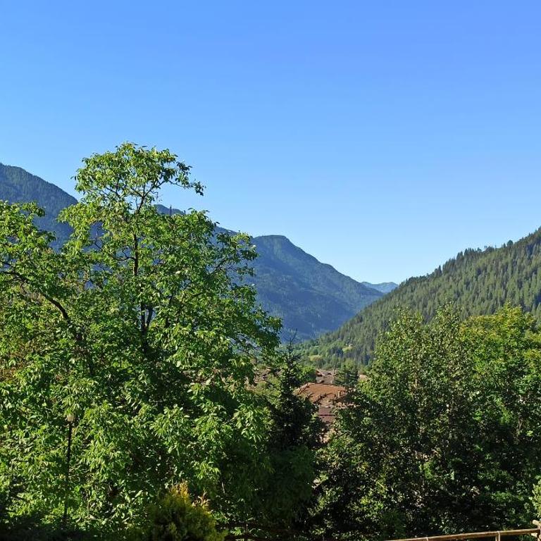 le balze di Carisolo, trilocale con giardino - Appartement avec Vue sur la Montagne - 15