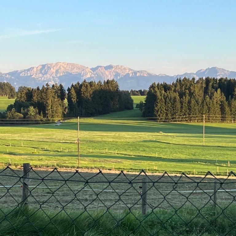 Allgäu Pension "Ab in den Süden" - Studio mit Bergblick - 15