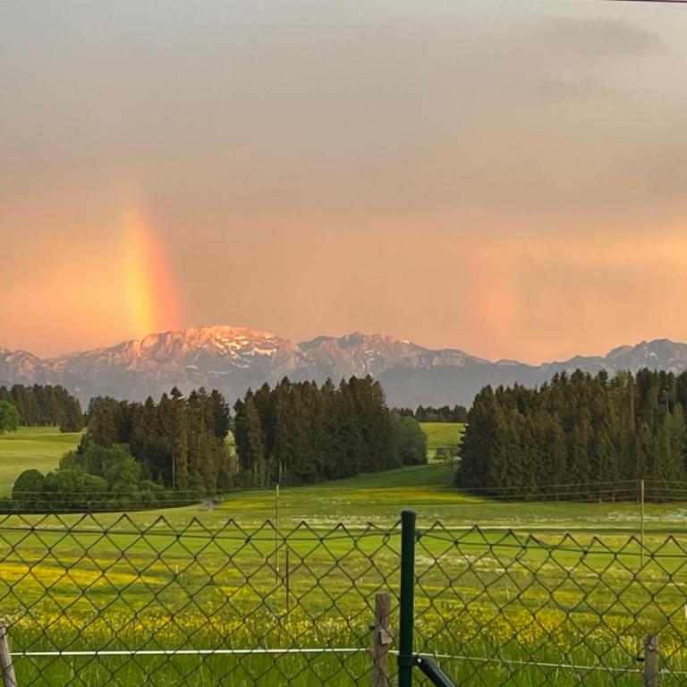 Allgäu Pension "Ab in den Süden" - Studio mit Bergblick - 14