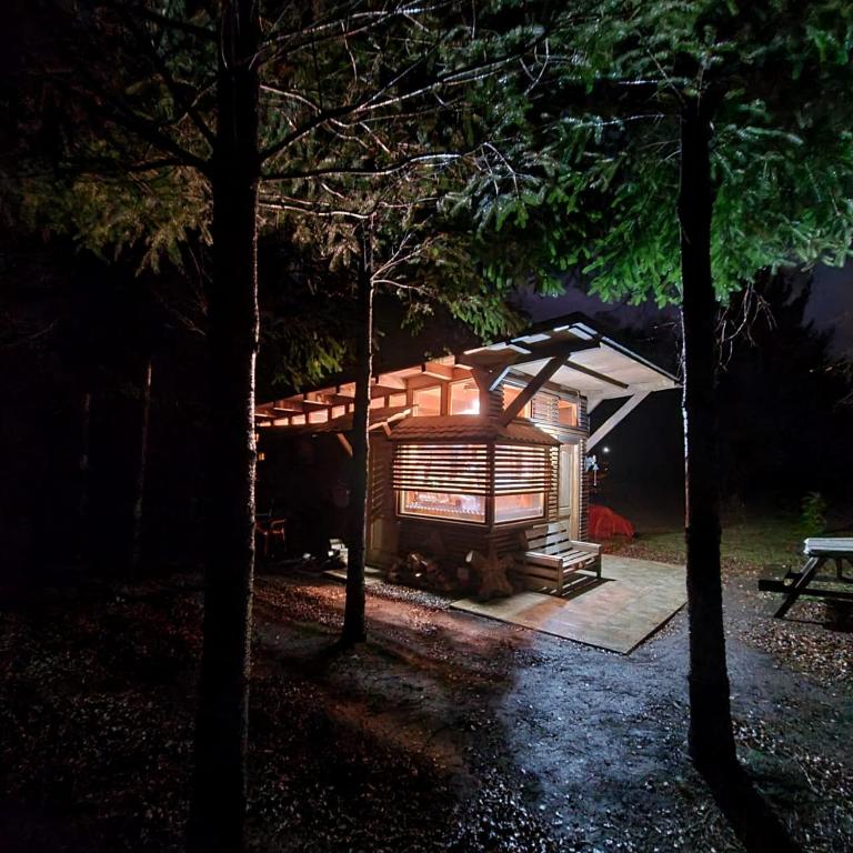 Brisas del llaima - One-Bedroom Chalet - 20