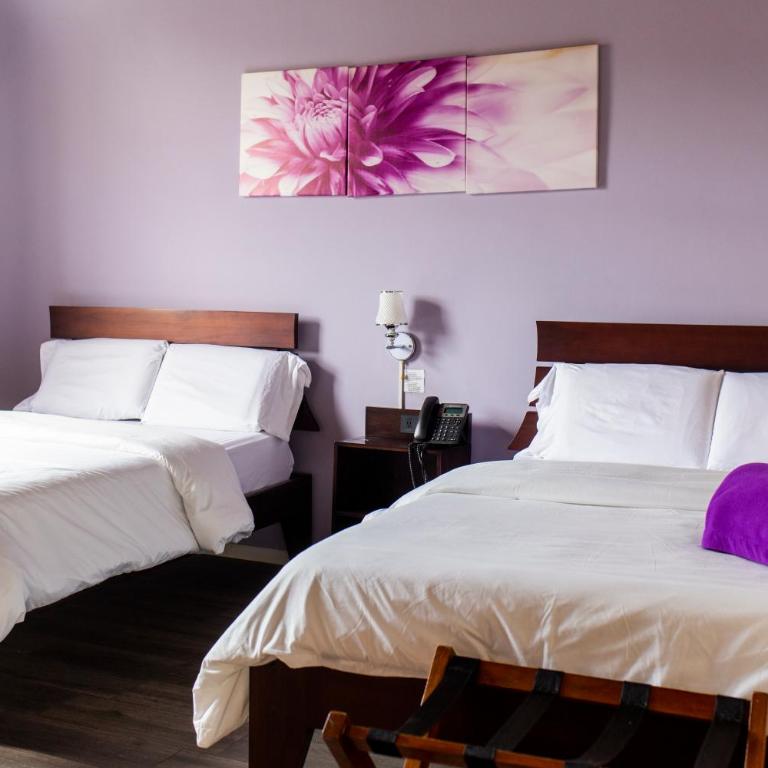 Hotel Colonial San Agustin - Standard Double Room with Two Double Beds - 12