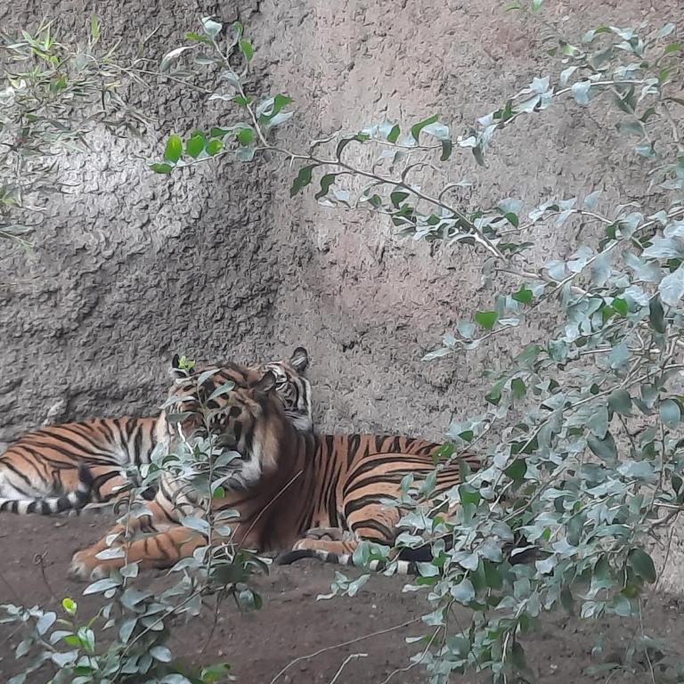 Sunshiny Costa del Sol - BEACH APARTMENT - Apartamento de 1 dormitorio - 37
