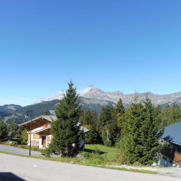 Appartement duplex cosy, 6 pers, proche pistes, garage privé, Crest-Voland - Appartement 2 Chambres - 10