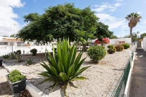 CASA MANUEL - SANTA MARTA COMPLEX - Apartamento - 27