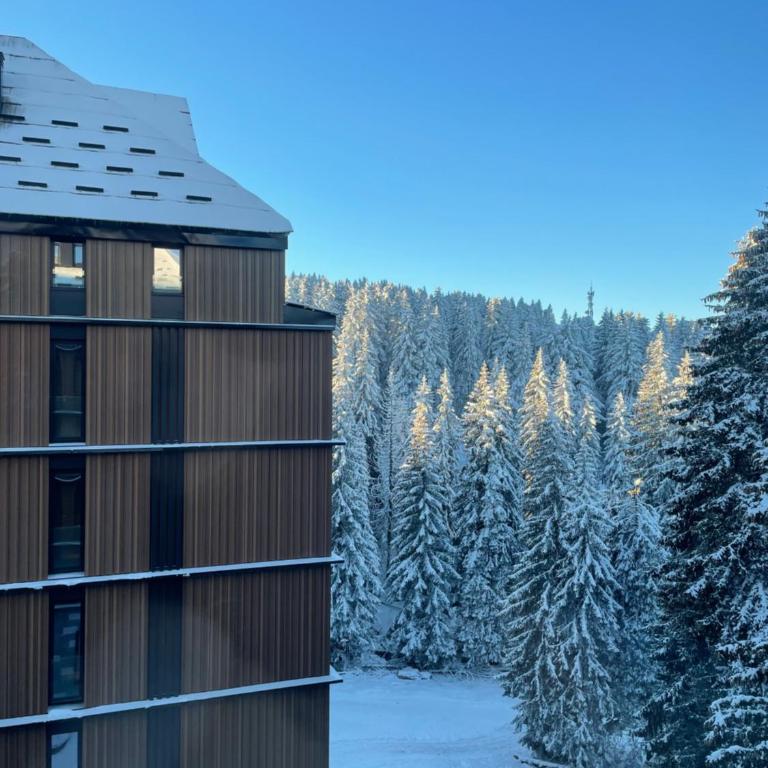 Woodside Apartment 431, Kopaonik - One separate bedroom 35m2- FREE Parking & SPA - One-Bedroom Apartment - 19