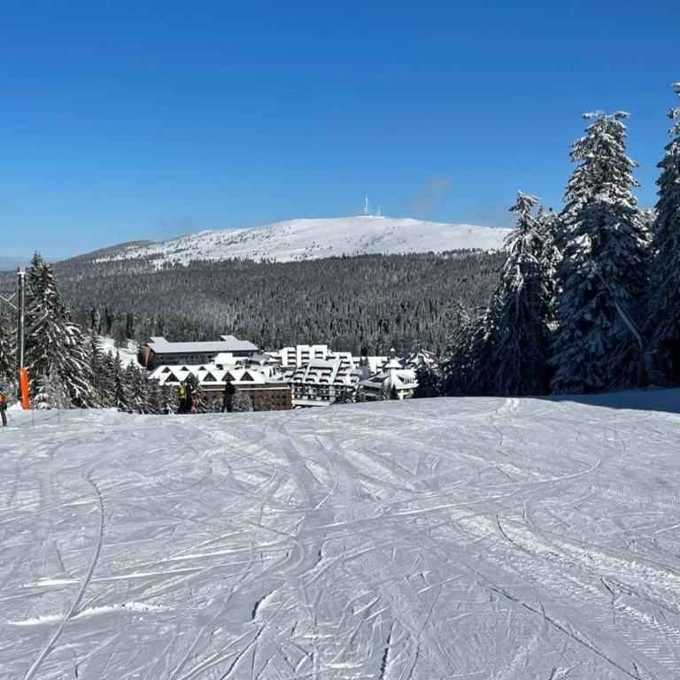 Woodside Apartment 431, Kopaonik - One separate bedroom 35m2- FREE Parking & SPA - One-Bedroom Apartment - 17