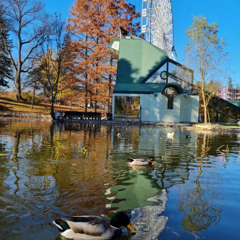 Apartman Esperanza - Apartman sa 1 Spavaćom Sobom - 45