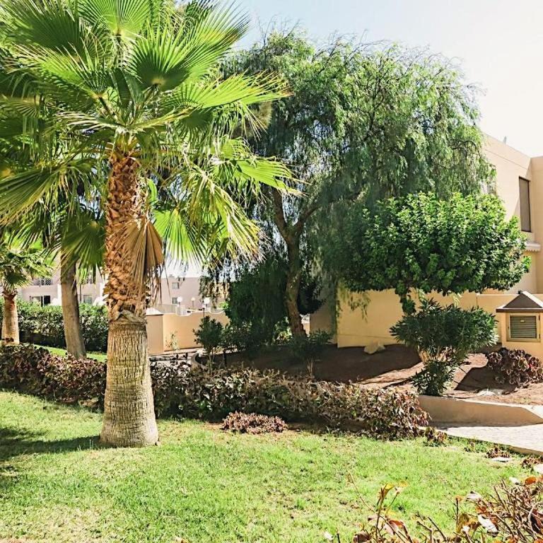 Bungalow with 2 bedrooms, Playa la Tejita - Casa de 2 dormitorios - 34