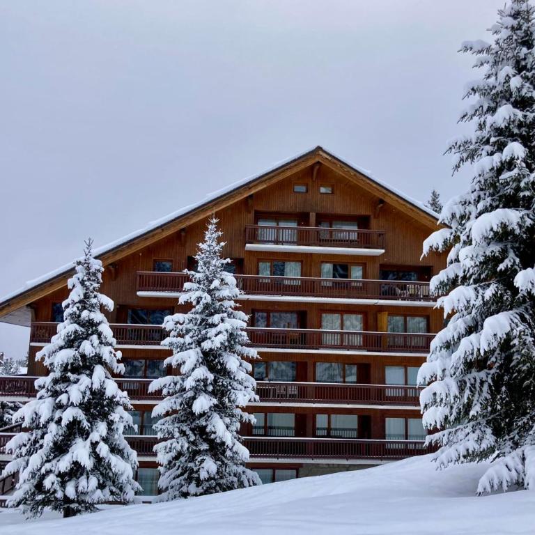 Chantemerle 19 Ski au pied - Appartement - 33