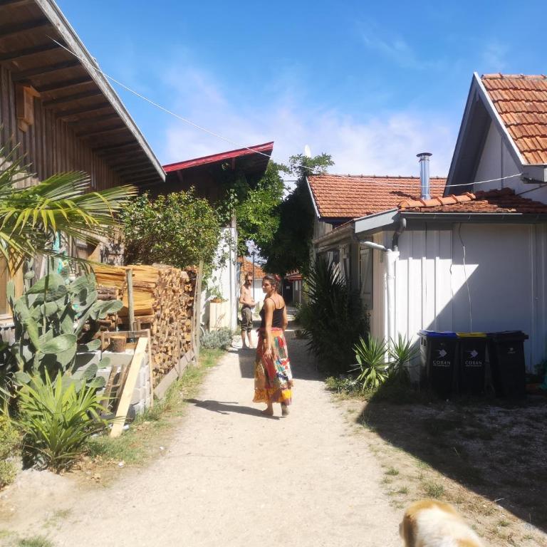 La cabane du Truquet - Maison 2 Chambres - 35