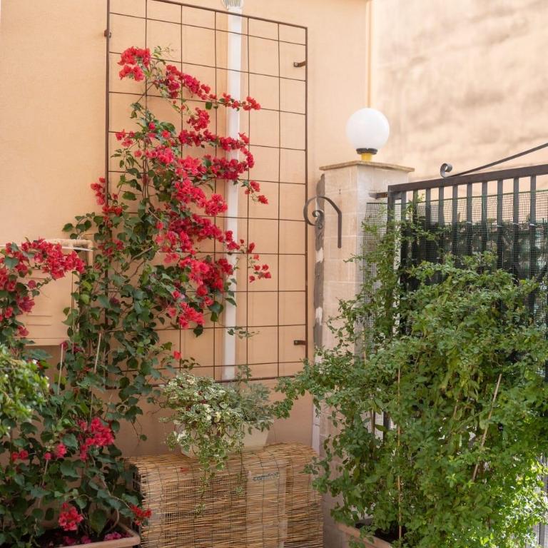 Casa Andromaca - Appartamento su 2 Livelli - 3