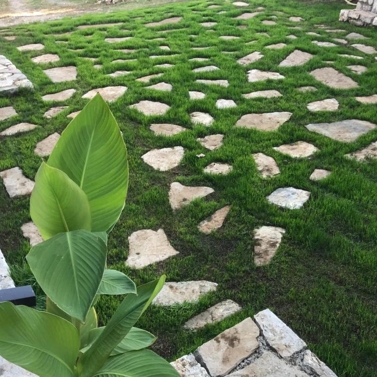 Green Silence - Vuk - Apartman sa 2 Spavaće Sobe - 26