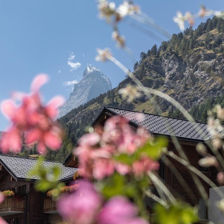 Hotel Bahnhof - Einzelzimmer mit Gemeinschaftsbad - 1