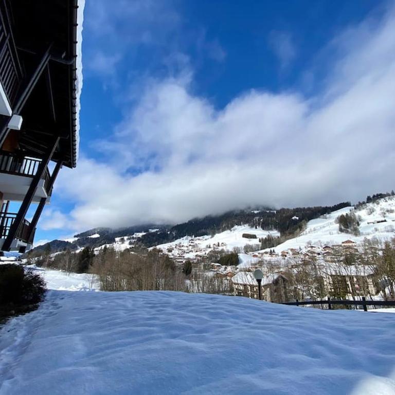 T2 de charme à Megeve vue panoramique - Appartement 1 Chambre - 22