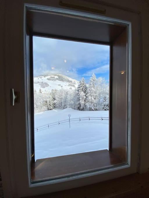 T2 de charme à Megeve vue panoramique - Appartement 1 Chambre - 37