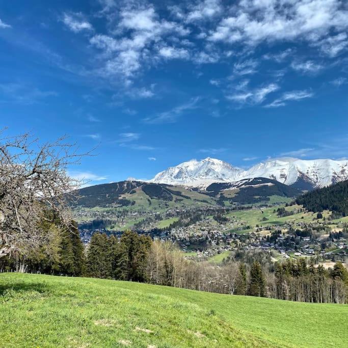 T2 de charme à Megeve vue panoramique - Appartement 1 Chambre - 39