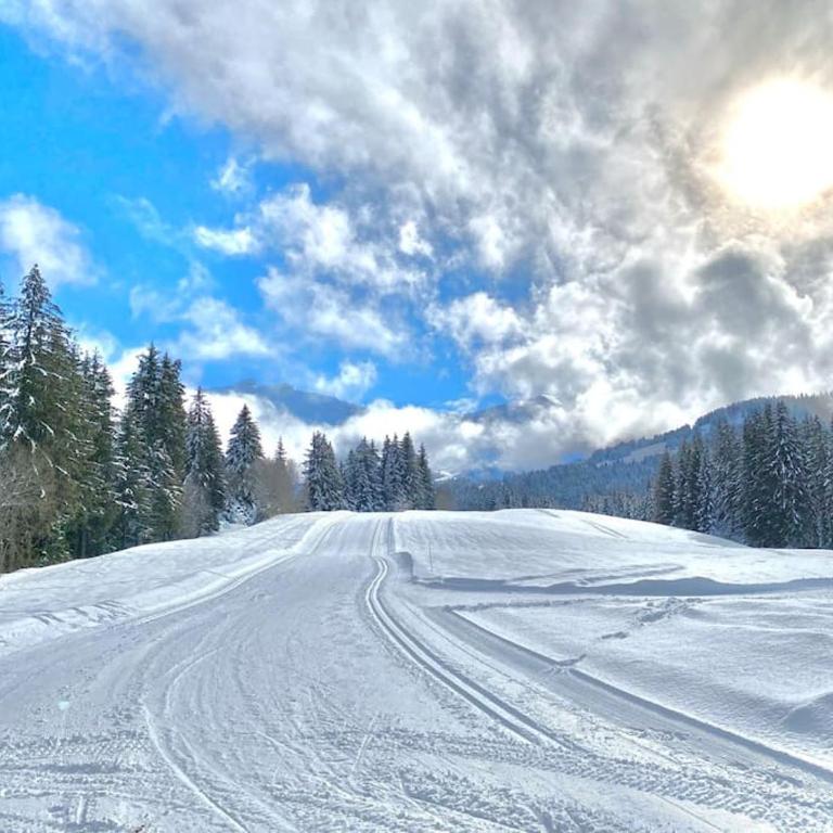 T2 de charme à Megeve vue panoramique - Appartement 1 Chambre - 41