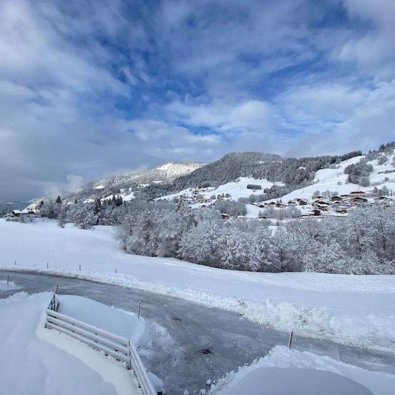 T2 de charme à Megeve vue panoramique - Appartement 1 Chambre - 44