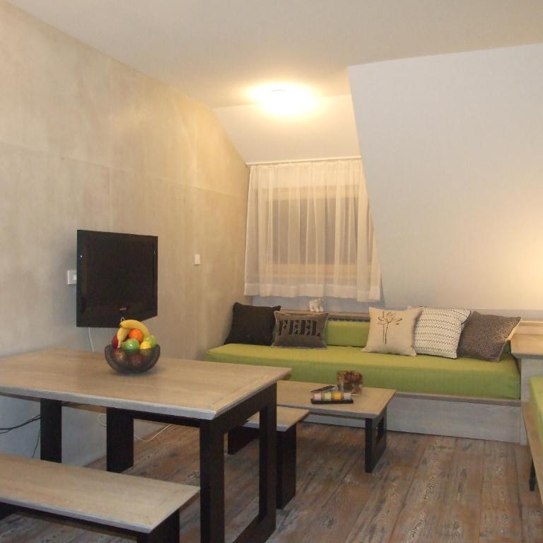 Apartmani Kopaonik Centar Maglic - Studio Apartment - 6