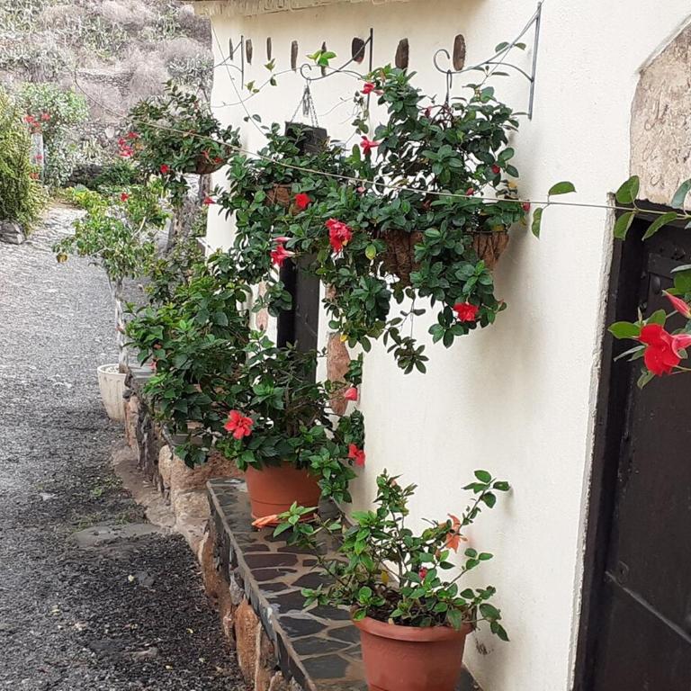 Casa La Fuente - Casa de 2 dormitorios - 18