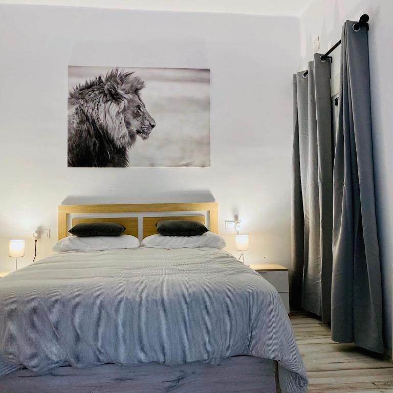 Apartamento COSTASOL PLAZA Córdoba - TrassierraRooms - Two-Bedroom Apartment - 2