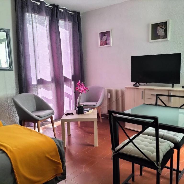Studio Gréoux les Bains - Apartamento de 1 dormitorio - 1