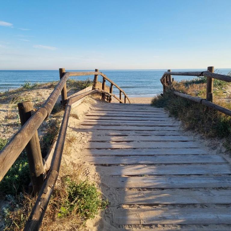 Hello Oliva Beach BB - Apartamento - 23