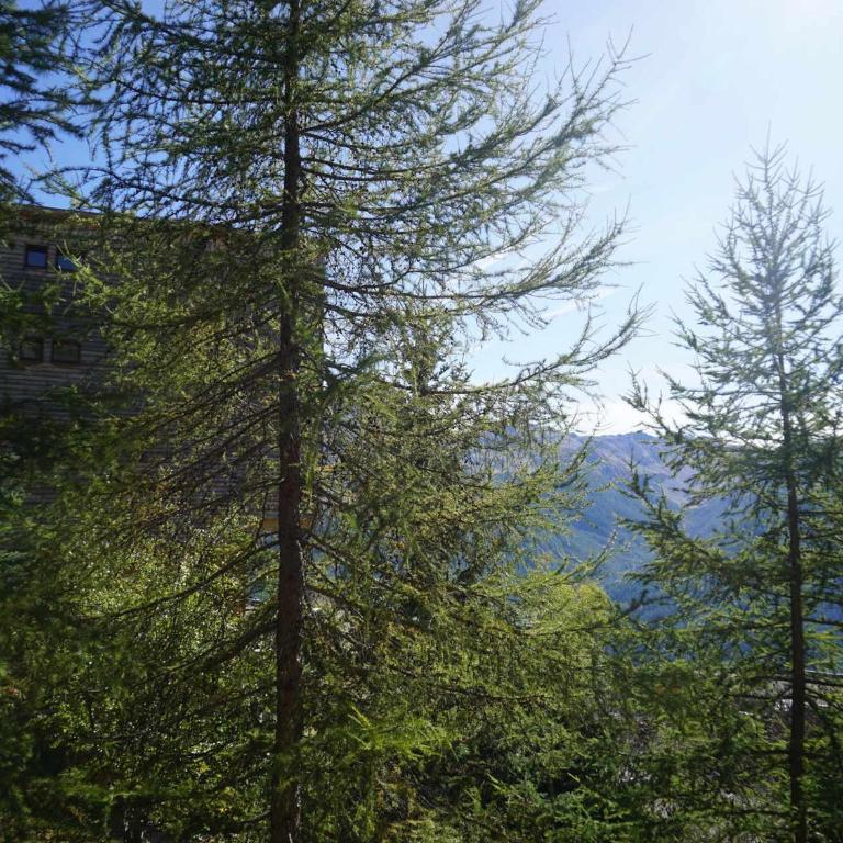 Confortable studio 4 pers, animaux admis, proche pistes, Orcières Merlette - FR-1-636-98 - Studio - 8
