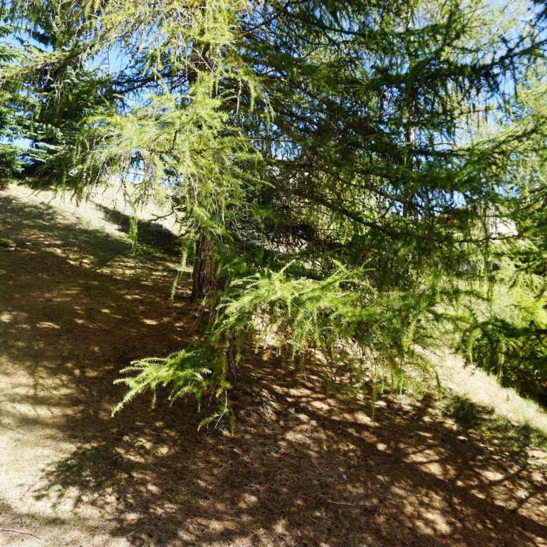 Confortable studio 4 pers, animaux admis, proche pistes, Orcières Merlette - FR-1-636-98 - Studio - 9