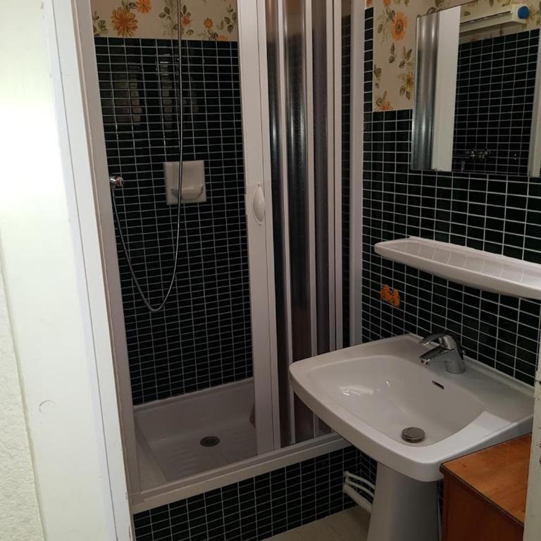 Studio cabine cosy - 4 pers, animaux admis, proche pistes - FR-1-636-175 - Monolocale - 3