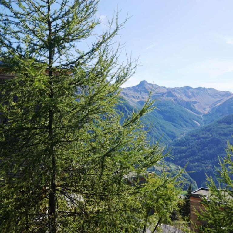 Studio cosy 30m², 5 pers, proche pistes à Orcières Merlette - FR-1-636-87 - Monolocale - 10
