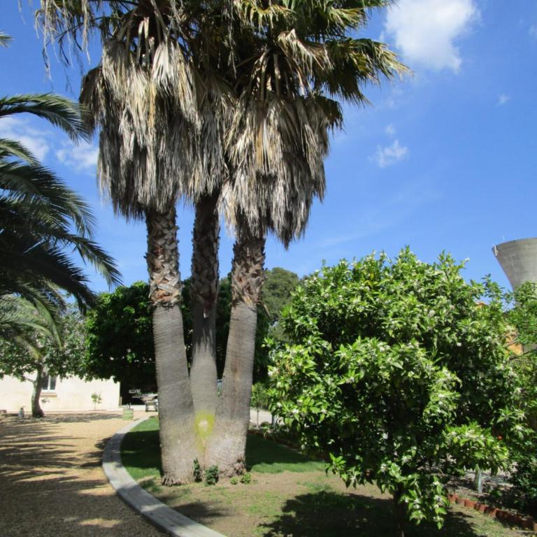 les palmiers - Chambre Double - Vue sur Jardin - 5