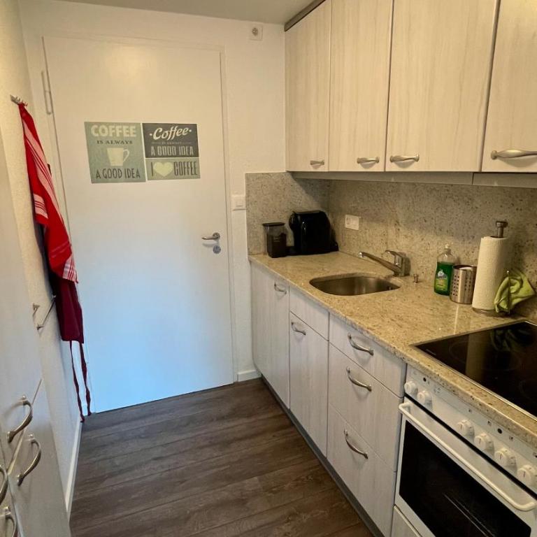 4 Min walking to Congress Center Zentral wohnen, ankommen, heimeliges ruhiges Studio mitten in Davos - Apartment mit 1 Schlafzimmer - 14