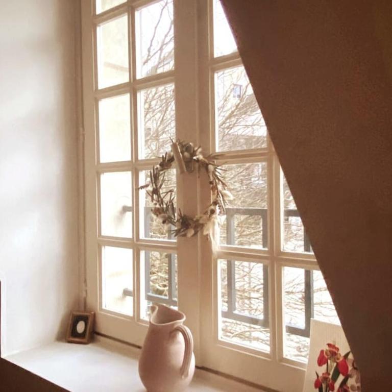 Grand appartement place Saint-Pierre, proche Château de Saumur et bord de Loire" - Appartement 2 Chambres - 14
