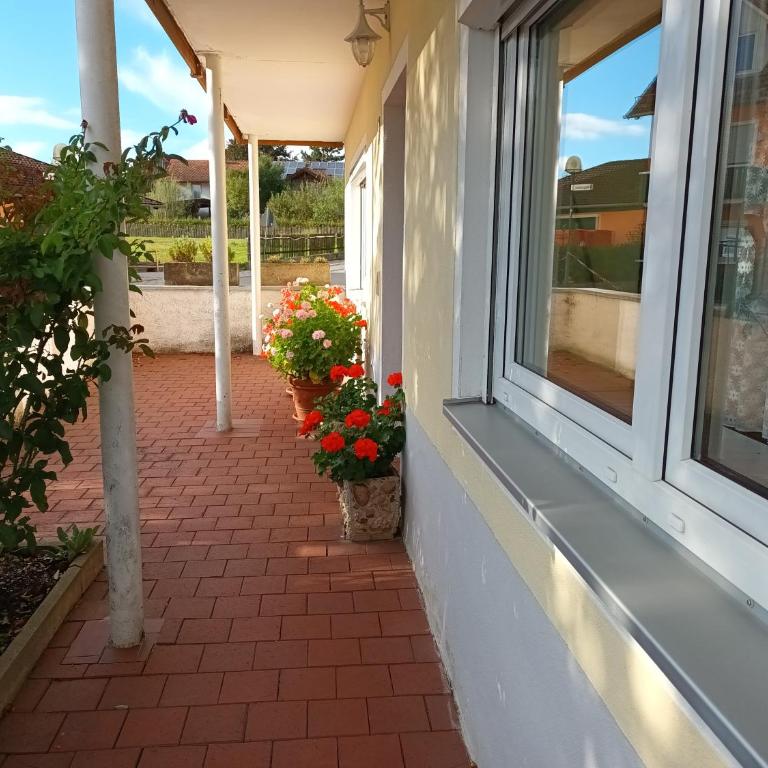 Haus Barbara - Apartment mit Terrasse - 3