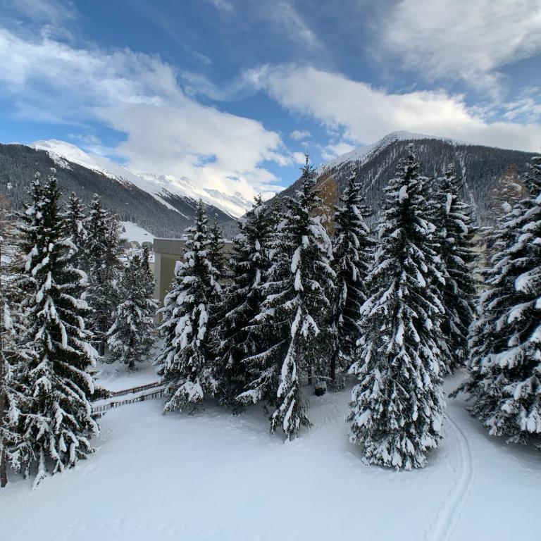 4 Min walking to Congress Center Zentral wohnen, ankommen, heimeliges ruhiges Studio mitten in Davos - Apartment mit 1 Schlafzimmer - 19