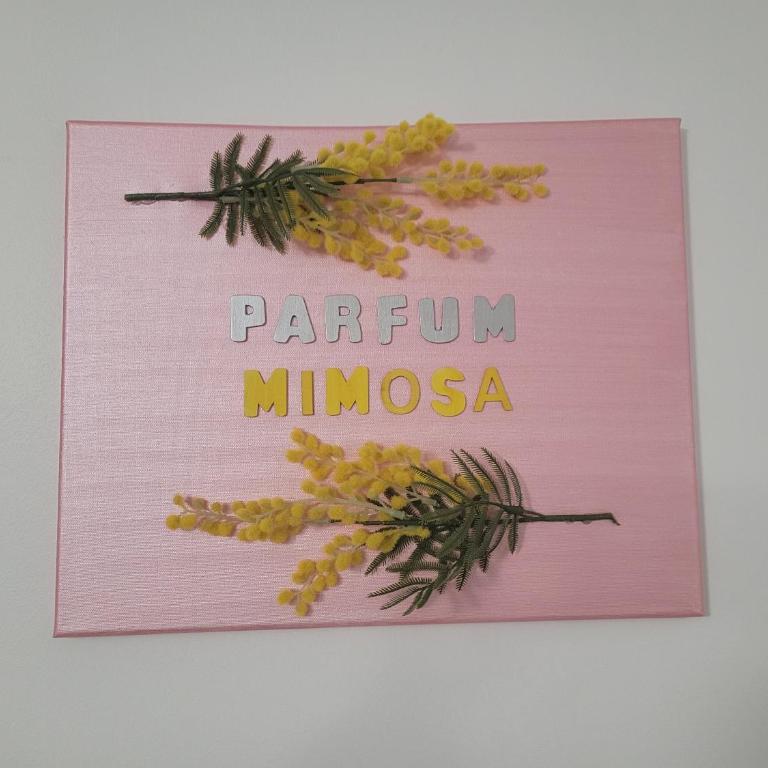 Parfum mimosa - Studio - 11