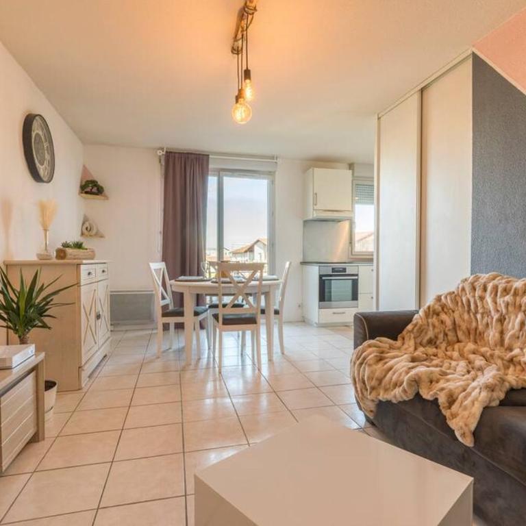 Splendid et cosy T2 terrasse, Airbus et Aéroport - Apartamento de 1 dormitorio - 19