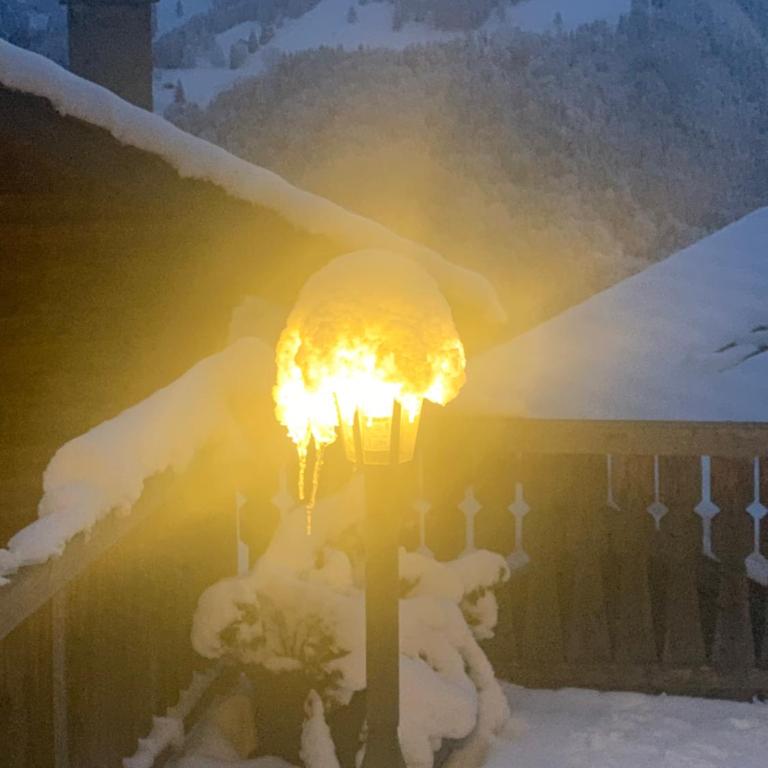 Chalet Rayon de Soleil Gryon Villars - Chalet - 32