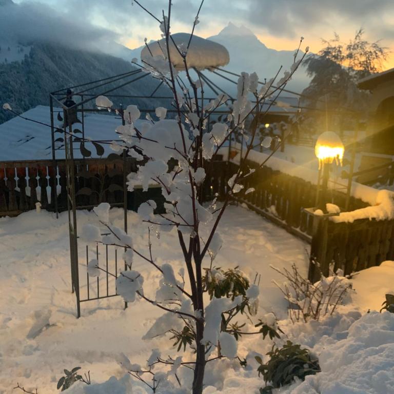 Chalet Rayon de Soleil Gryon Villars - Chalet - 38