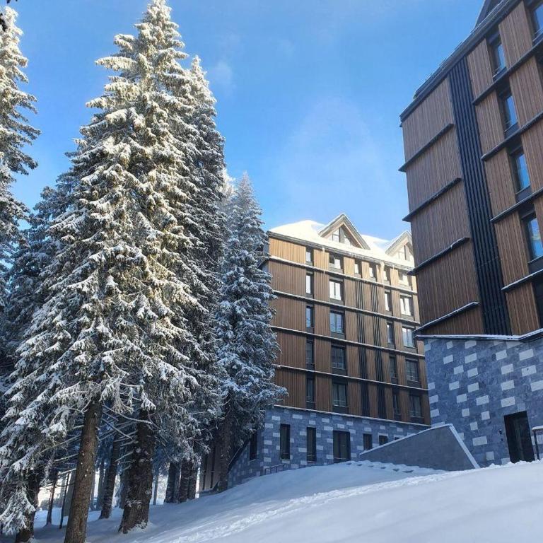 Woodside Apartment 218 - One-Bedroom Apartment - 36