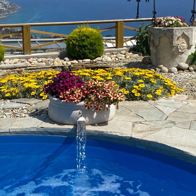 Little Paradise Apartment - Appartamento Standard - 5