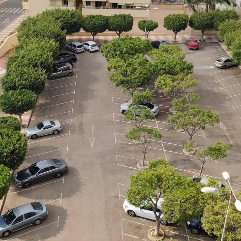 Ático Palmeral - Apartamento de 2 dormitorios - 19